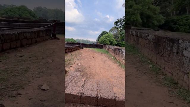 Погружение в загадочный лабиринт: Тайны древних Террас проклятого короля смотреть онлайн