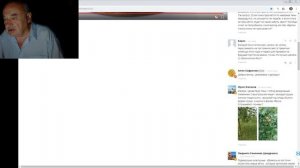 Когда пересаживать Саженцы