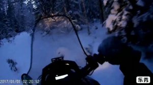 Тунгус 500 в лесу