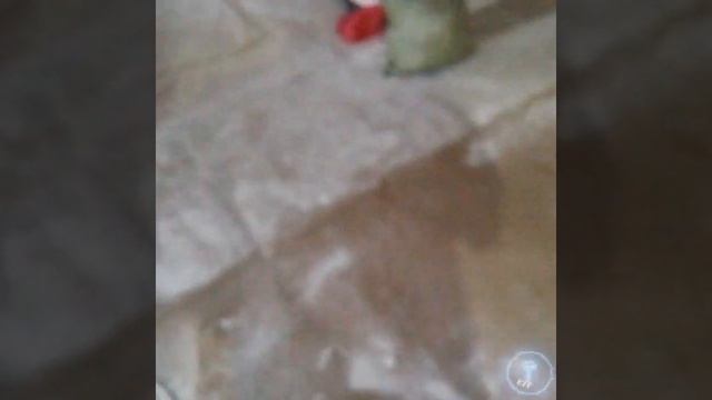 совет заказчику смотреть онлайн