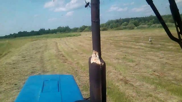 ГВЦ-3 Ворошение сена на 8 повышеной 1000 обороты уже 5 год. смотреть онлайн