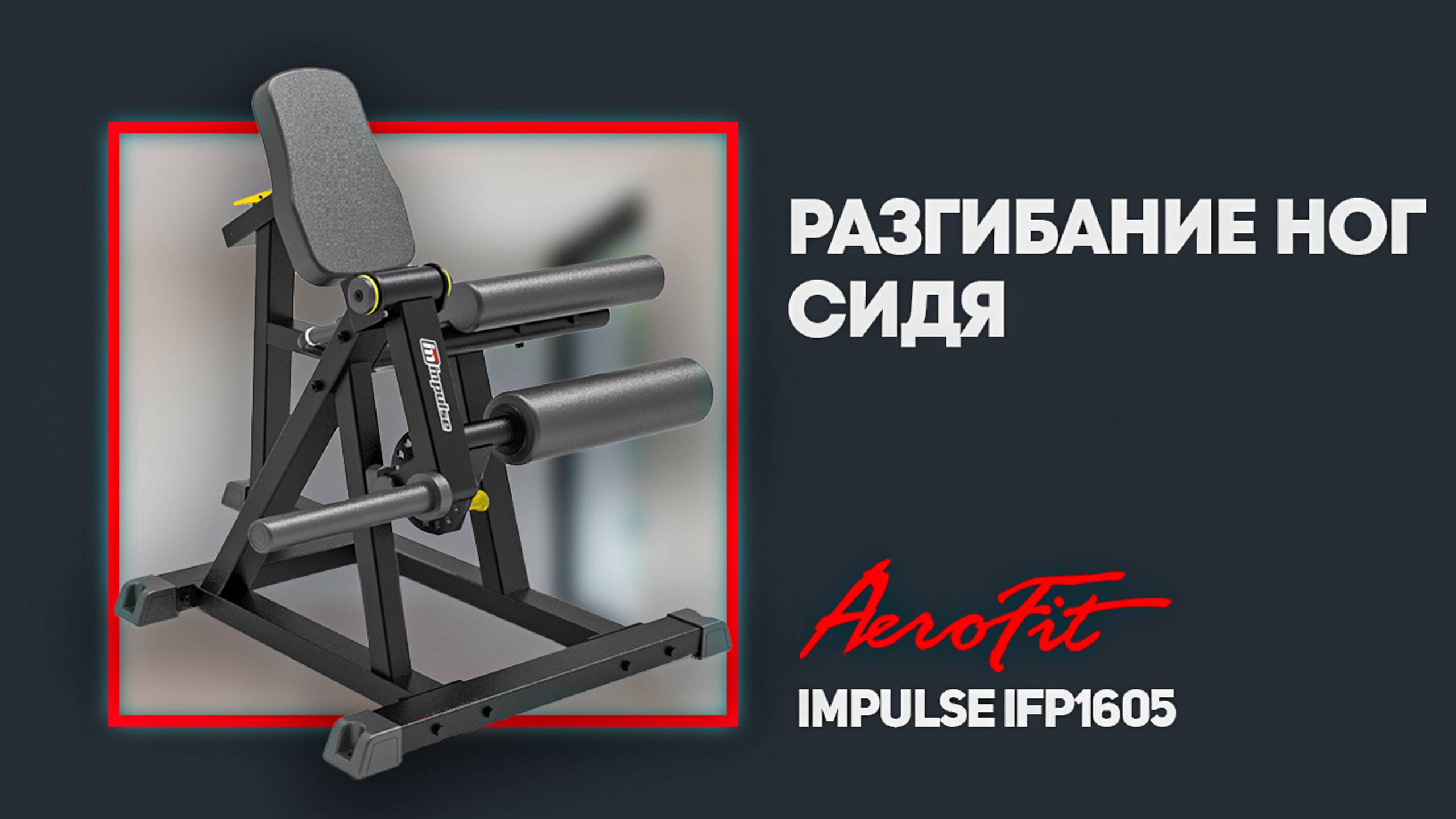 Тренировка ног на базе AEROFIT с PRO атлетом- Антоном Герасимовым Impulse IFP1605