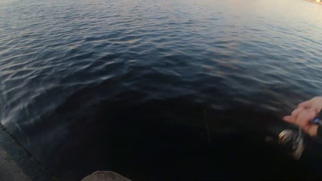 #246 | Мормышинг | Crystar 56 Finder + безмотылка | Поймали монстра!!! | смотреть онлайн