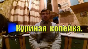 Доход от КУР НЕСУШЕК // Куриная копейка // Жизнь в деревне