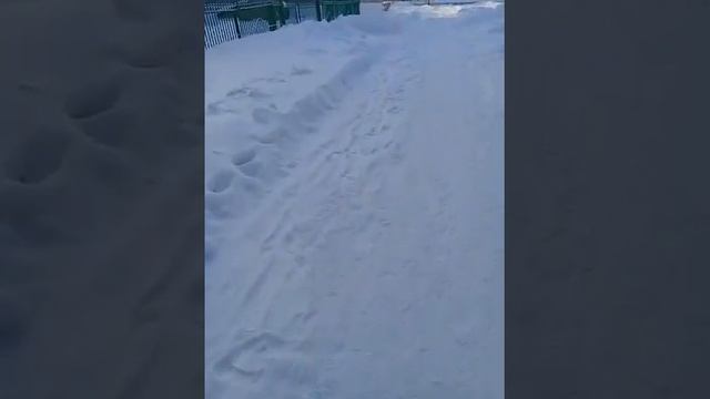 Трактовая 37 школа 9, мкр. Касёво, г. Нефтекамска респ. Башкортостан