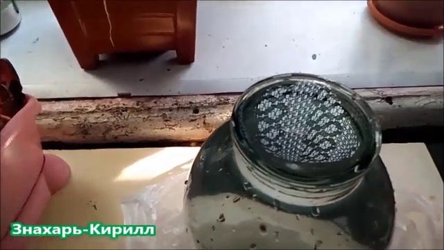 КАК ПРИГОТОВИТЬ ЖИВУЮ СТРУКТУРИРОВАННУЮ ВОДУ С рН=7,4 ОТ ВСЕХ БОЛЕЗНЕЙ?!?♂️
