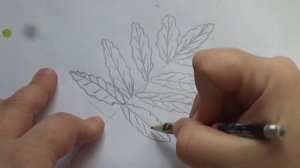 Простые уроки рисования. Как нарисовать лист рябины.