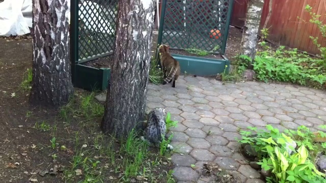 Stories of old смотреть онлайн