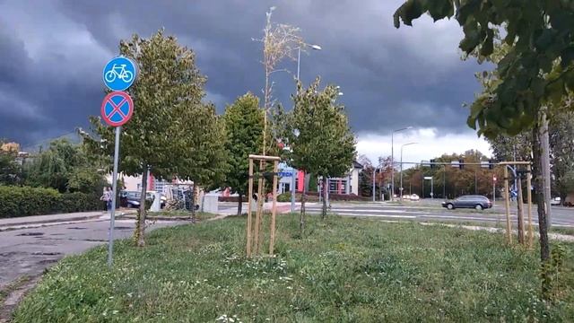 МЕДВЕЖИЙ ОРЕХ. ПРОДОЛЖАЕМ СОБИРАТЬ УРОЖАЙ смотреть онлайн