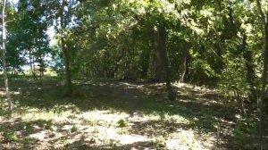 дом в краснодарском крае с.новопокровское.