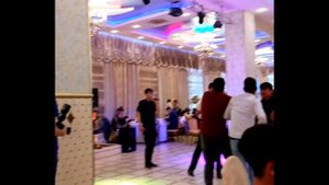 Кучкак туй питерда #кучкак #конибодом