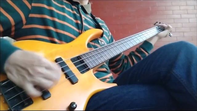 Neck Deep - When You Know (Bass Cover) смотреть онлайн