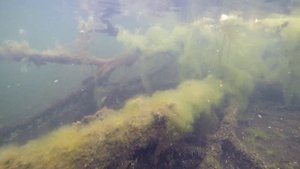 Валдайское озеро. Подводная охота на Валдае. Гидрокостюмы HAMMERFISH