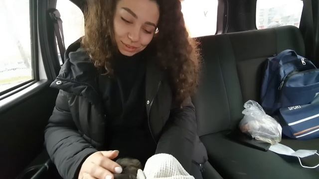 Нашли малюсенького щенка? в посадке, дикий крик привёл нас к месту... Кто его бросил? смотреть онлайн