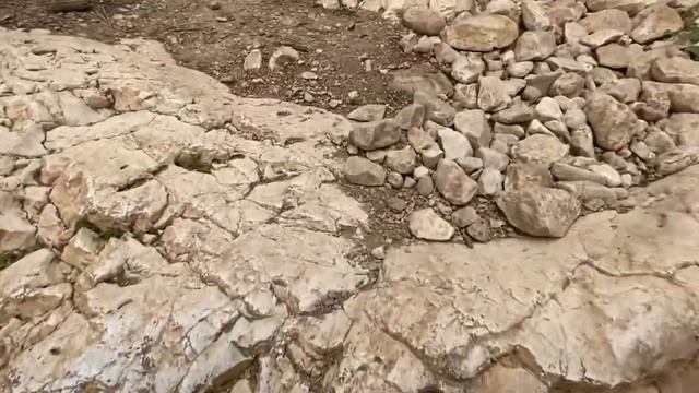 ЗАПОВЕДНИК УМ-ЗУКА смотреть онлайн