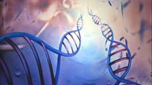 Генетические мутации .Ч.2. Лиза Ренее.Статья за январь .2016. смотреть онлайн