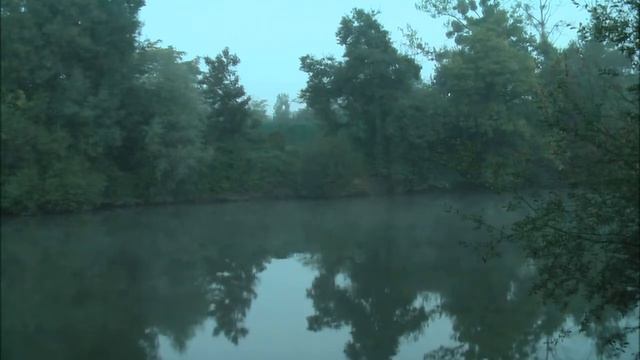 Счастливый рассвет ? Счастье, кто это приметил❗ Стихи Лидии Тагановой под музыку смотреть онлайн