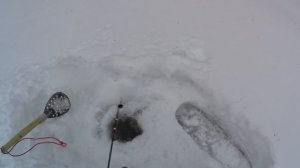 РЫБАЛКА на таежном ручье в марте / Ловля хариуса весной