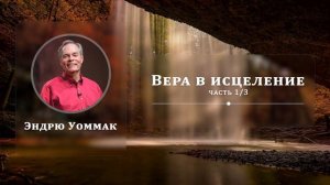 Вера в исцеление - Эндрю Уоммак | Часть 1/3