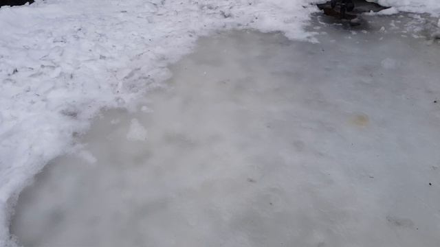 Пруд. Человеческий фактор. смотреть онлайн