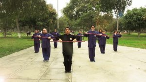 Taiji Yangshen Zhang - Baston Taichi para la salud