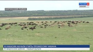 Профессия чабан