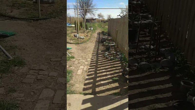 жду дождь,не хочу поливать огород