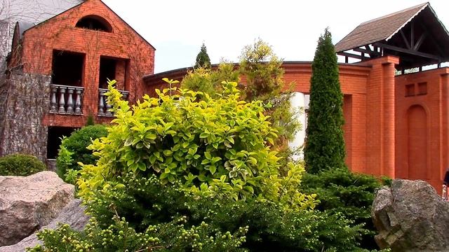 Буки. Ландшафтный парк. Landscape Park Buki. смотреть онлайн