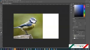 Photoshop 2022 Bangla Tutorial (Class 23) - Free Course Bangla tv