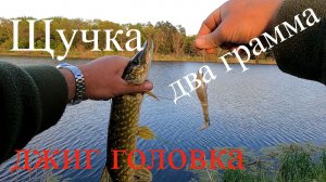 Рыбалка на #спиннинг,ловля #щуки на не огрузcку и огрузcку 22,04.22го