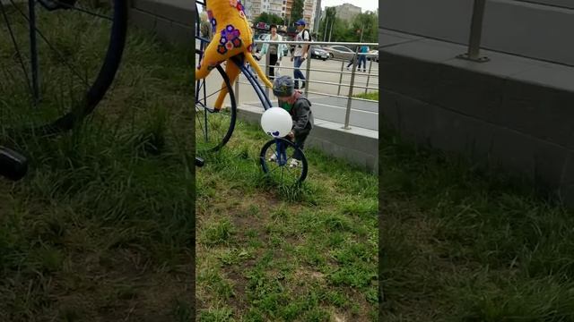 Плюшевые жирафы, фото локация в Харькове / Plush giraffes, photo location in Kharkov смотреть онлайн