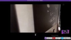 Бустер показывает свою новую квартиру / РУМТУР квартиры Бустера