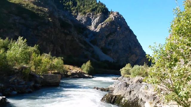 Коксу в августе смотреть онлайн