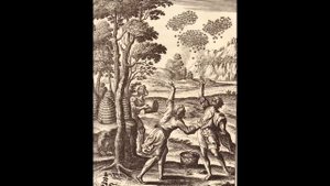 Бортничество на Руси и в наши дни