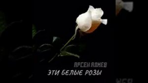 эти Белые розы мама для тебя
