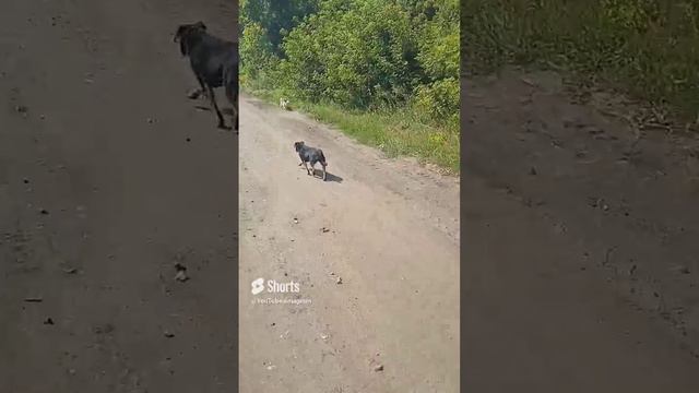 Мы в ТАКИЕ шагали дали...