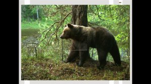 «По заповедным местам Республики Коми», знакомство с известными охраняемыми природными территориями