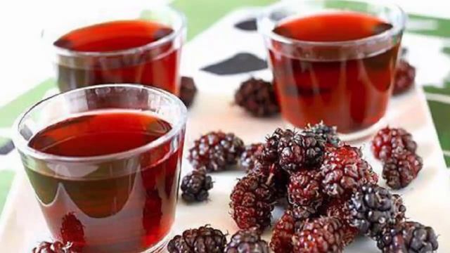 Уход и выращивание шелковицы/тутового дерева.