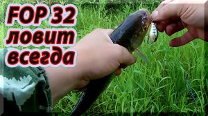 С fop 32 без улова не останешься. Рыбалка на перекате малой реки. Голавль на спиннинг.
