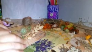Поделки из сухоцветов.Ошибана   Панно из сухоцветов. Поделки из природного материала.