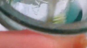 Чистка монет  Туалетным Утенком