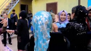 Туй дар вахш