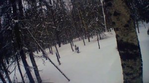 БУРАН АД  по лесу.