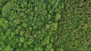 Красивая Джас Музыка. Beautiful  Music