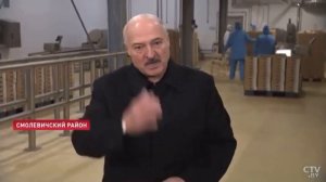 Лукашенко: Как на удаленке доить коров?