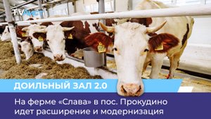 На ферме «Слава» в пос. Прокудино идет расширение и модернизация