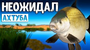 RF4 ВООБЩЕ НЕОЖИДАЛ ТАКОЙ КЛЁВ #рр4