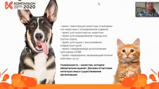 Как создать приют: реальность и тенденции. смотреть онлайн