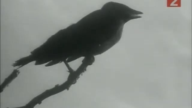 Двое в степи смотреть онлайн