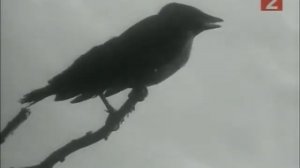 Двое в степи